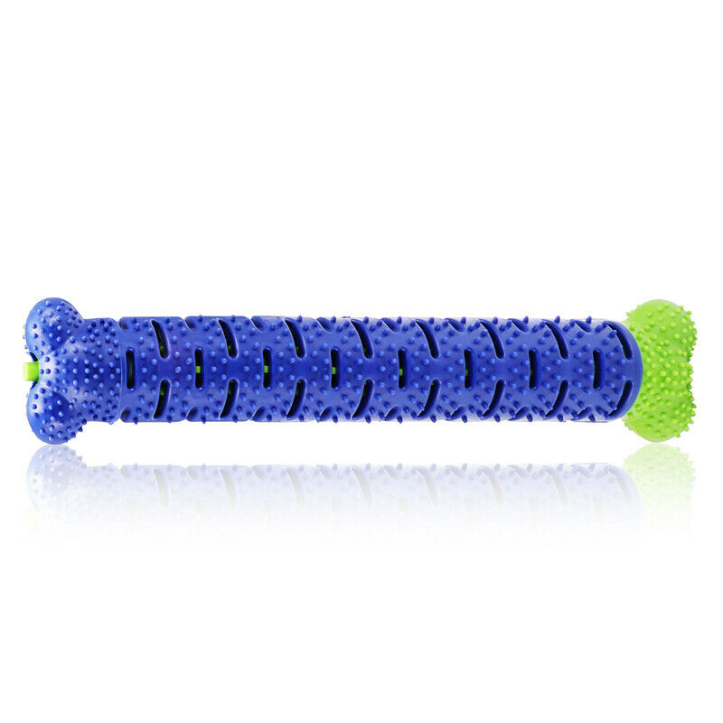 Toothbrush Dog Chew Toy