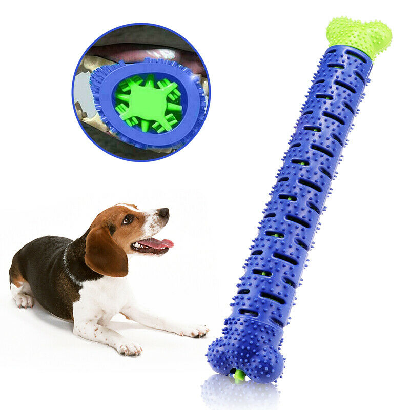 Toothbrush Dog Chew Toy