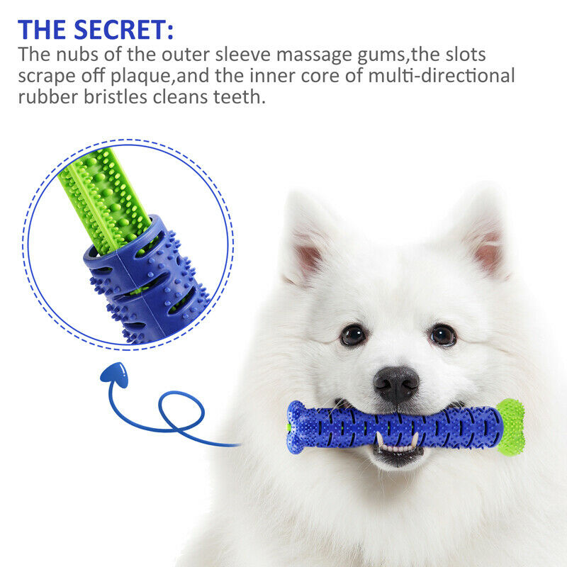 Toothbrush Dog Chew Toy