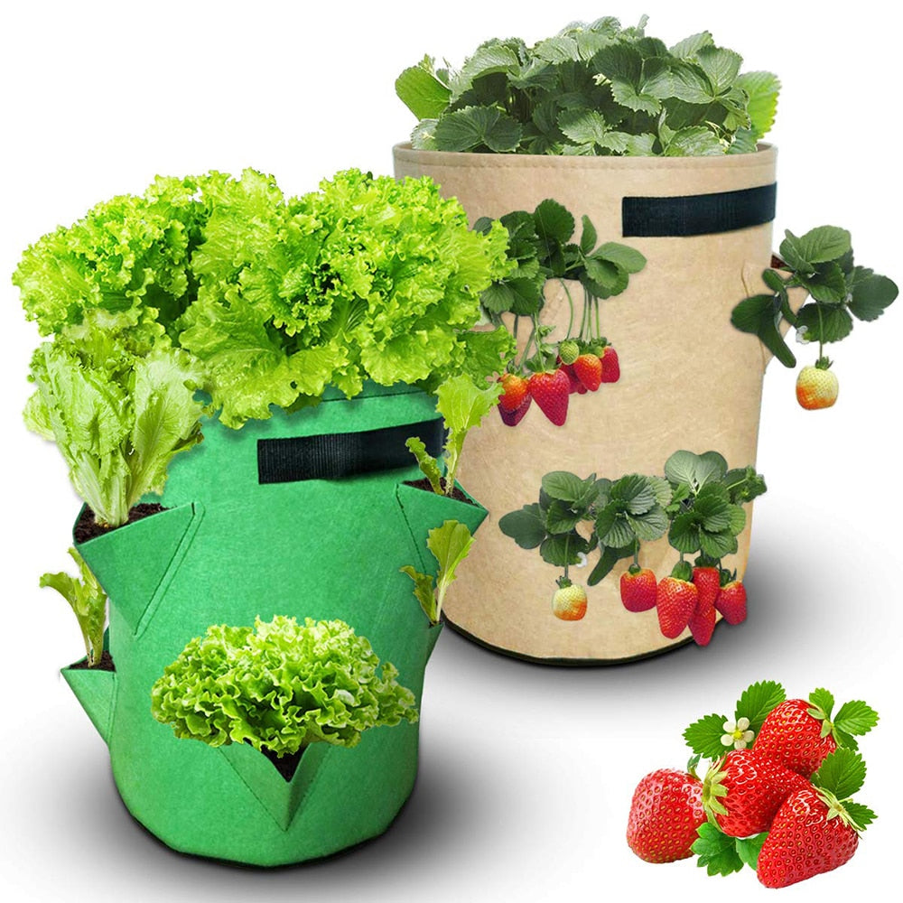 Outdoor Planting Grow Bag