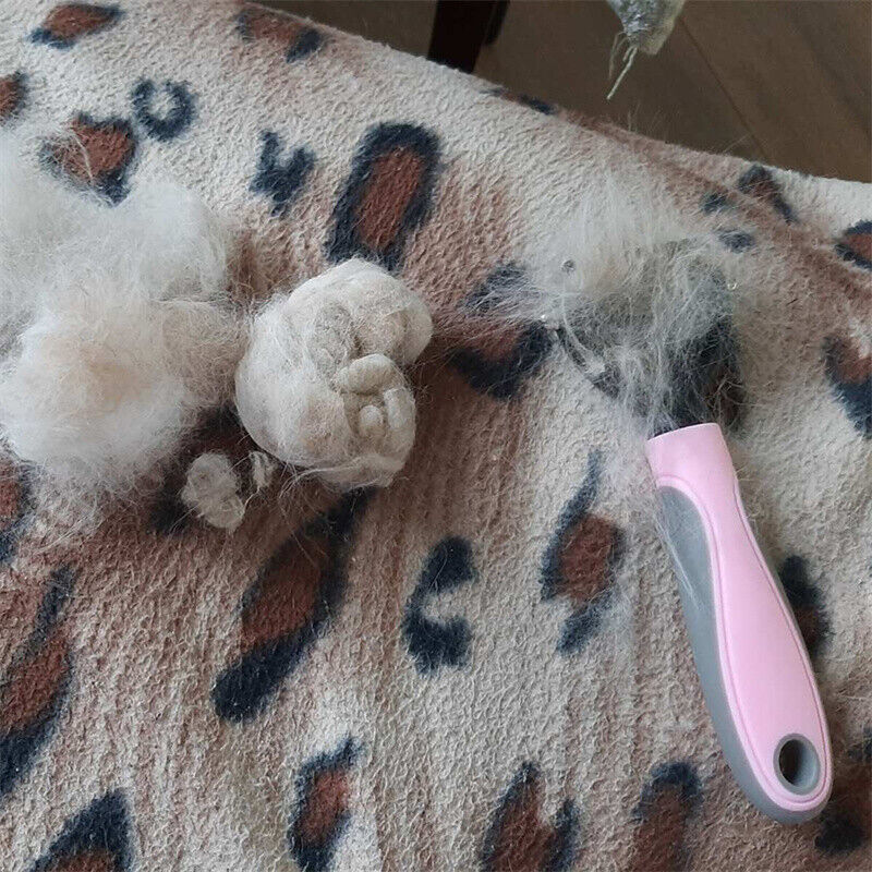 Pet Grooming Brush