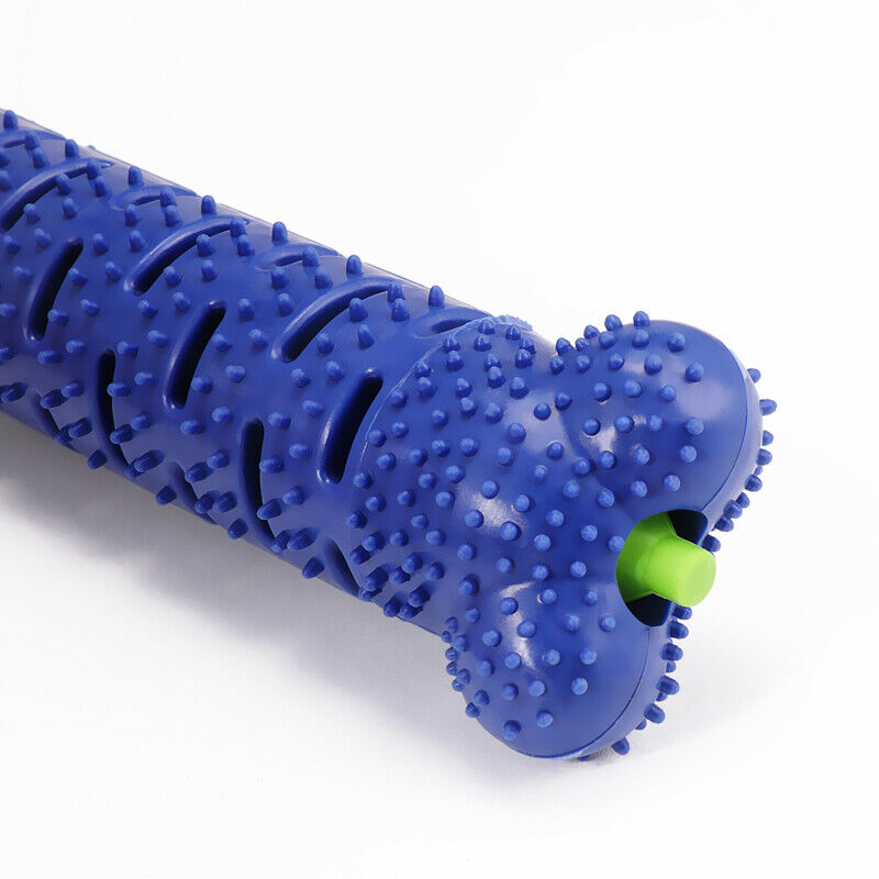 Toothbrush Dog Chew Toy