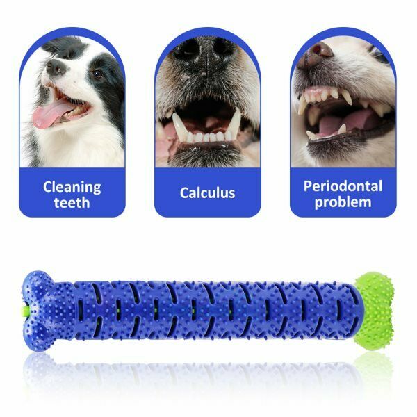 Toothbrush Dog Chew Toy