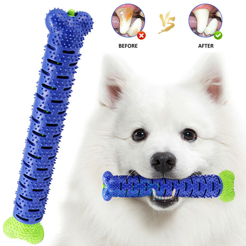 Toothbrush Dog Chew Toy