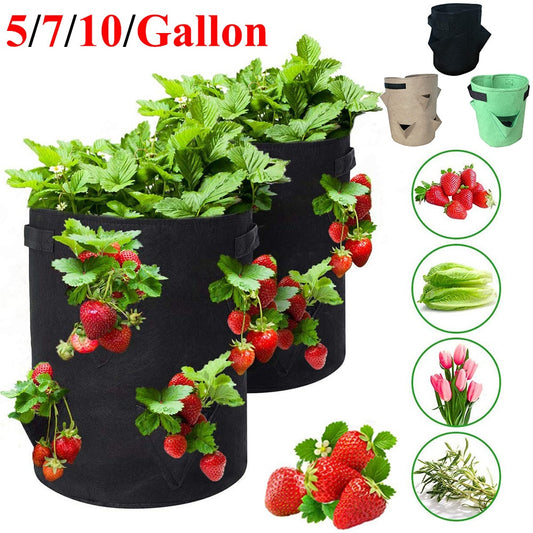 Outdoor Planting Grow Bag