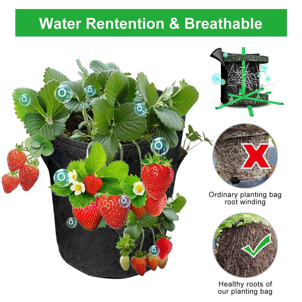 Outdoor Planting Grow Bag