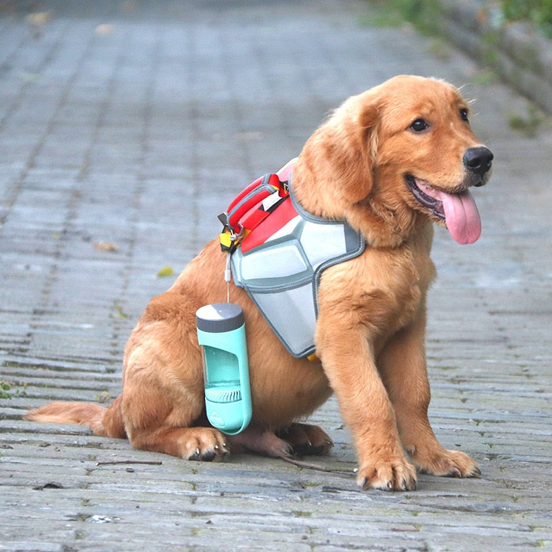 Portable Dog Water Bottle